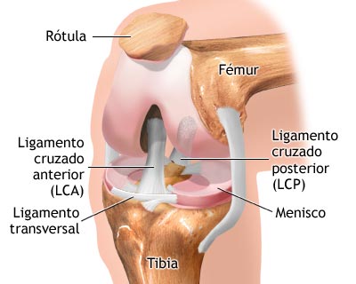 operacion-rodilla-cirugia-especialista